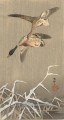 Canards colverts Ohara KOSON japonais